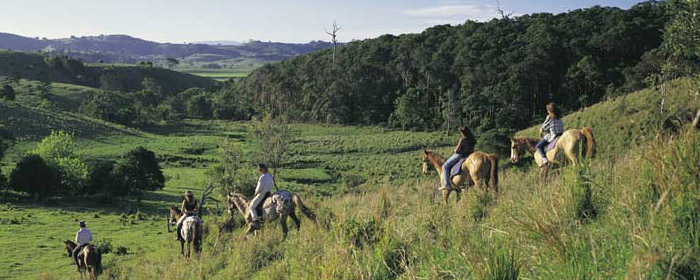 You can find Pegasus Park Equestrian Centre nestled in the hills of Bangalow