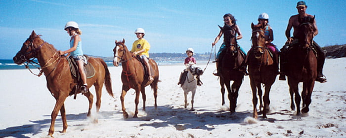 You can find Pegasus Park Equestrian Centre nestled in the hills of Bangalow