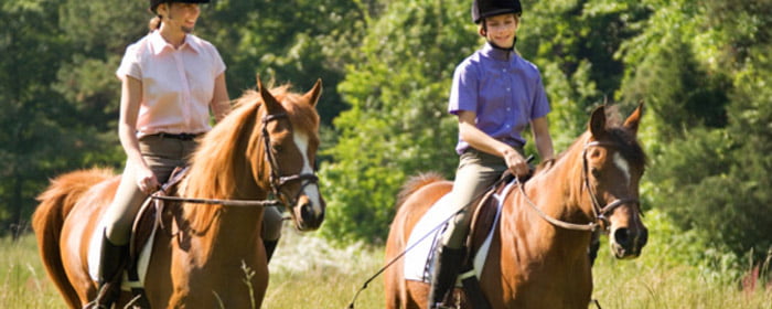 You can find Pegasus Park Equestrian Centre nestled in the hills of Bangalow