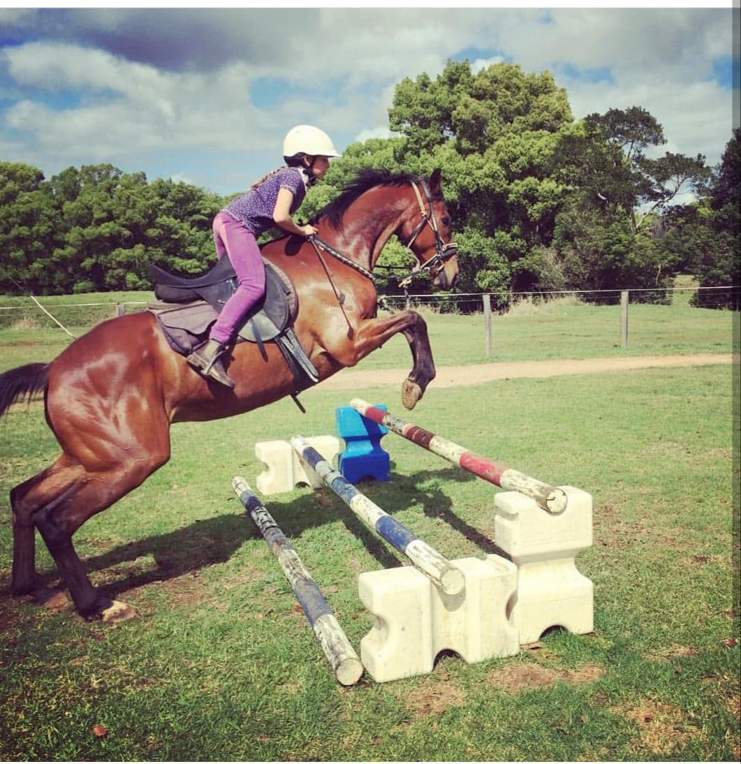 Horse Riding Lessons Byron Bay