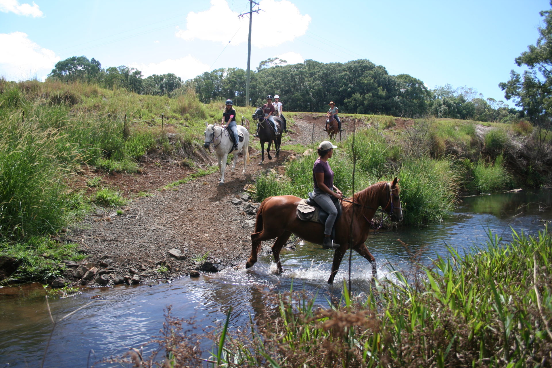 Bangalow Hinterland Horse ride