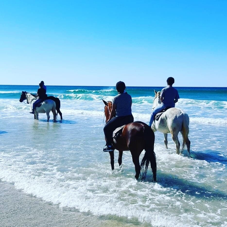 Lennox Head Horse Riding