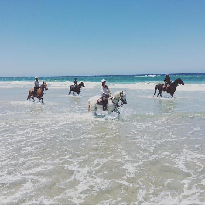  You can find Pegasus Park Equestrian Centre nestled in the hills of Bangalow