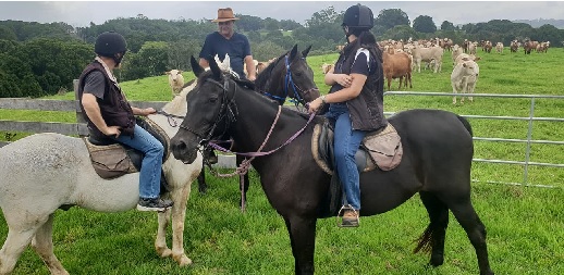 Byron Hinterland Horse Ride