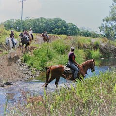 Byron Bay Horse Riding Byron Creek