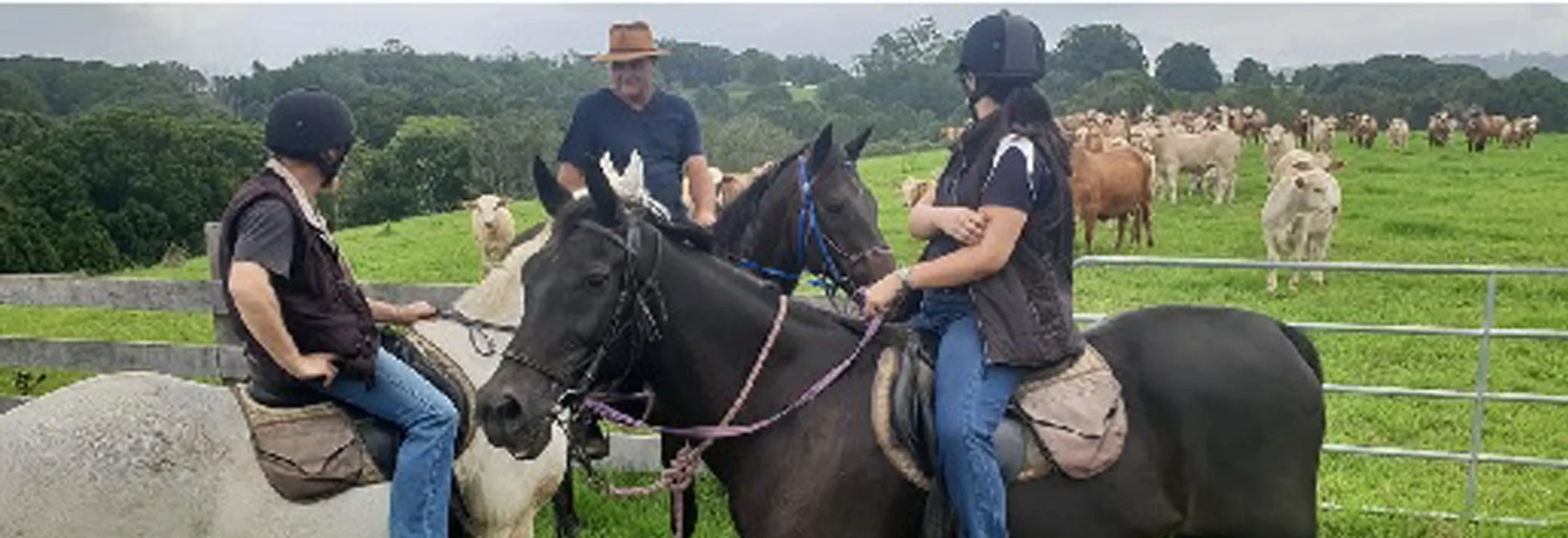 Horse riding lesson byron bay